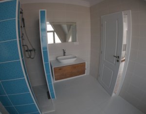 Maison 4 chambres à louer dans Cluj-napoca, zone Borhanci