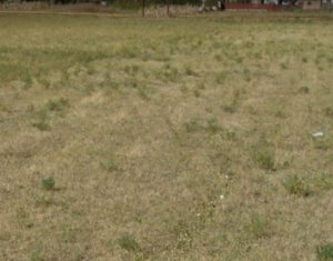 Terrain à vendre dans Floresti