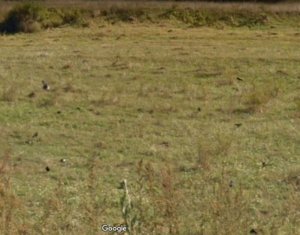 Terrain à vendre dans Floresti
