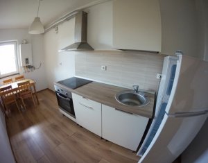 Appartement 1 chambres à louer dans Cluj-napoca, zone Centru