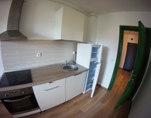 Appartement 1 chambres à louer dans Cluj-napoca, zone Centru