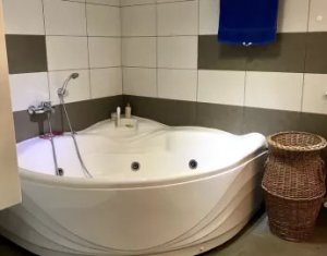 Appartement 3 chambres à louer dans Cluj-napoca, zone Andrei Muresanu