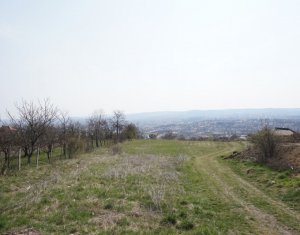 Terrain à vendre dans Cluj-napoca, zone Dambul Rotund