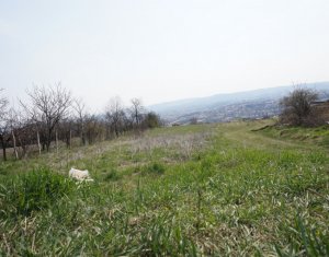 Terrain à vendre dans Cluj-napoca, zone Dambul Rotund