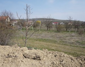 Terrain à vendre dans Cluj-napoca, zone Dambul Rotund