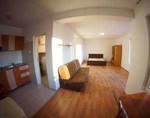 Appartement 1 chambres à louer dans Cluj-napoca, zone Zorilor