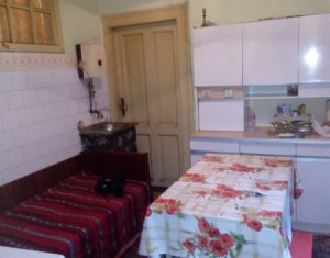 Maison 2 chambres à vendre dans Cluj-napoca, zone Centru