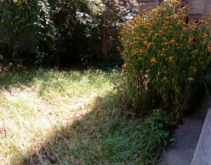 Terrain à vendre dans Cluj-napoca, zone Centru