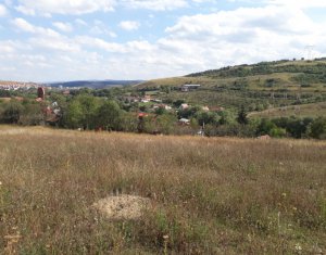 , 3275m2 on Baciu