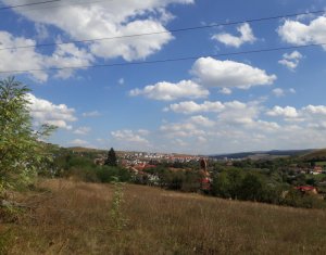 Telek eladó on Baciu