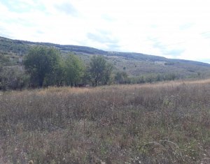 Telek eladó on Baciu