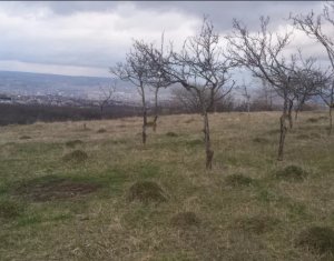 , 1010m2 on Cluj-napoca, Zóna Faget