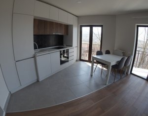Appartement 3 chambres à louer dans Cluj-napoca, zone Borhanci