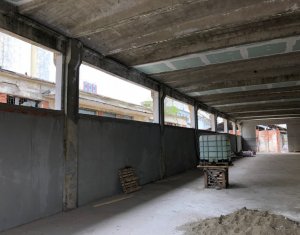Espace Industriel à louer dans Cluj-napoca, zone Baciu
