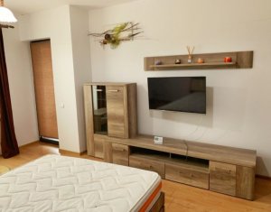 Appartement 1 chambres à louer dans Cluj-napoca, zone Gheorgheni