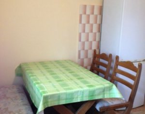 Appartement 2 chambres à louer dans Cluj-napoca, zone Gheorgheni