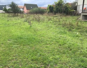 Terrain à vendre dans Floresti