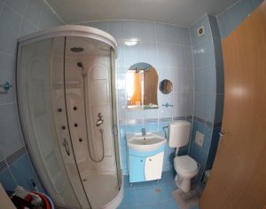 Appartement 2 chambres à louer dans Cluj-napoca, zone Buna Ziua