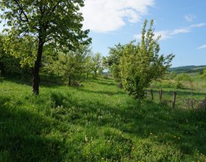 , 11900m2 on Cluj-napoca, Zóna Sopor