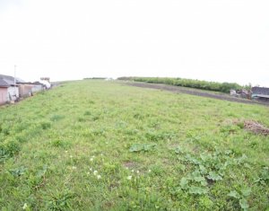 , 2800m2 dans Bontida