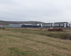 Terrain à vendre dans Sannicoara