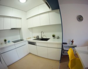 Appartement 2 chambres à louer dans Cluj-napoca, zone Gheorgheni