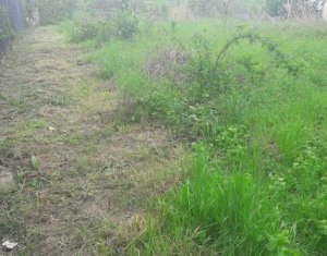 Terrain à vendre dans Cluj-napoca, zone Borhanci