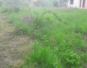 Terrain à vendre dans Cluj-napoca, zone Borhanci
