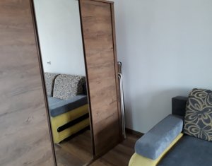 Appartement 1 chambres à louer dans Cluj-napoca, zone Centru
