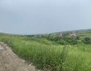 Terrain à vendre dans Cluj-napoca, zone Iris