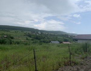 Terrain à vendre dans Cluj-napoca, zone Iris
