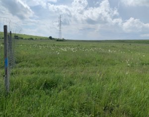Terrain à vendre dans Chinteni