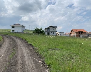 Terrain à vendre dans Chinteni