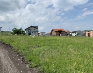 Terrain à vendre dans Chinteni