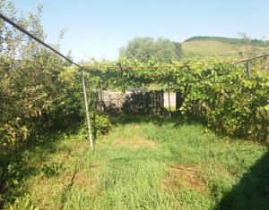 , 1680m2 dans Vultureni