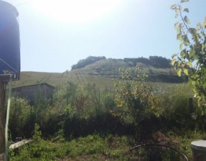 Terrain à vendre dans Vultureni