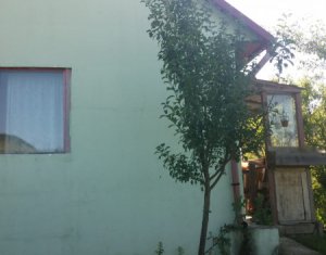 Terrain à vendre dans Vultureni