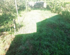 Terrain à vendre dans Vultureni