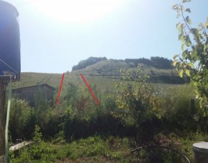 Terrain à vendre dans Vultureni