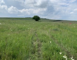 Terrain à vendre dans Chinteni