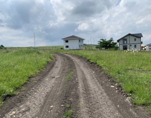 Terrain à vendre dans Chinteni