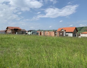 Terrain à vendre dans Chinteni