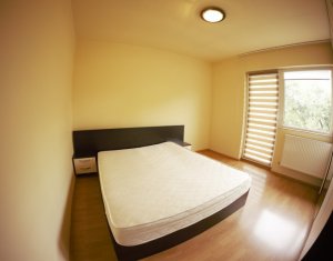 Maison 4 chambres à louer dans Cluj-napoca, zone Iris
