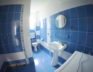 Maison 4 chambres à louer dans Cluj-napoca, zone Iris