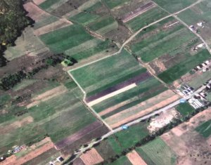 Terrain à vendre dans Cluj-napoca