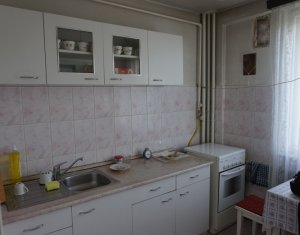 Appartement 2 chambres à louer dans Cluj-napoca, zone Gheorgheni