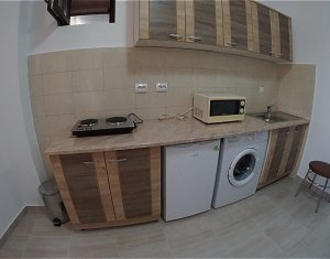 Appartement 1 chambres à louer dans Cluj-napoca