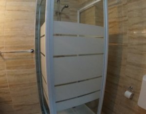 Appartement 1 chambres à louer dans Cluj-napoca