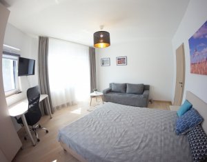 Appartement 1 chambres à louer dans Cluj-napoca, zone Zorilor
