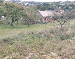 Terrain à vendre dans Feleacu